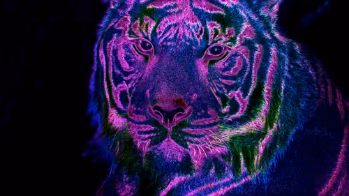 Item #44700177556079130579027571864789921161109844202338692374214745852470662004746 Media