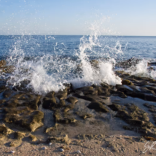 Coastlifephotography