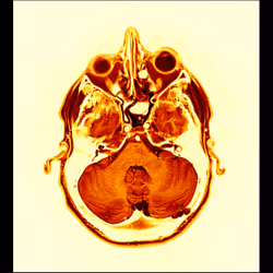 64162533542198579898252916190583583845604629893829087458582975965694831624193