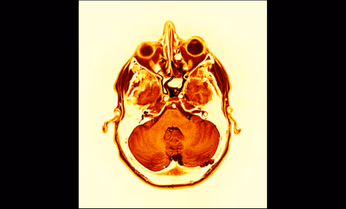 Item #64162533542198579898252916190583583845604629893829087458582975965694831624193 Media