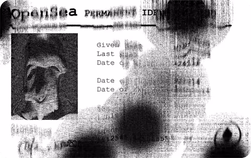 Item #68688031700153673782408164850729408793421410143220258289926023707973849710593 Media