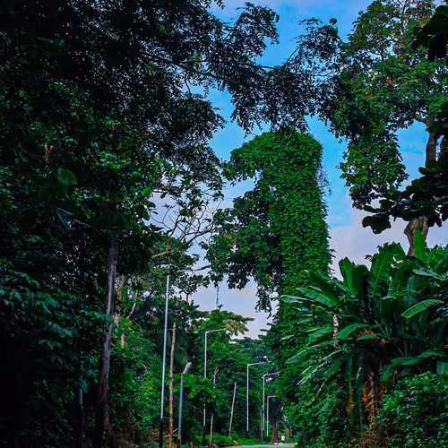 76424329268750253395138416030880535663177644908043241688934868517714302861352