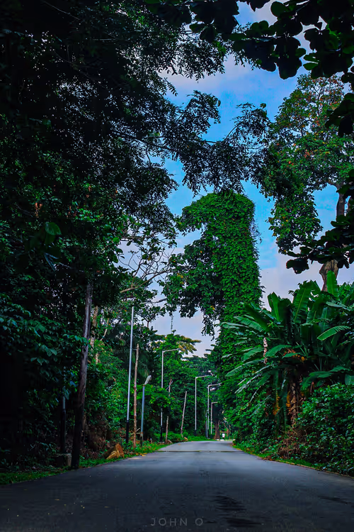 Item #76424329268750253395138416030880535663177644908043241688934868517714302861352 Media