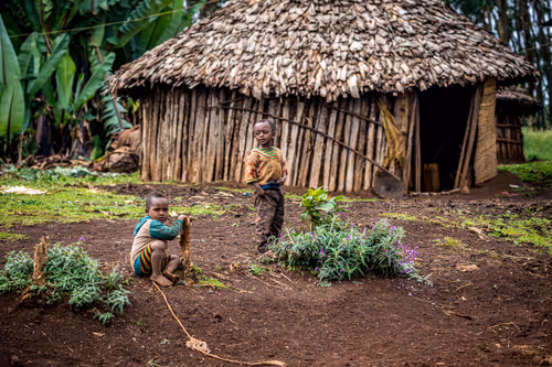 Item #50027882237522295676960542276708360859068113986169674979910833976773957386241 Media