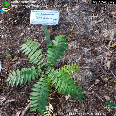 Item #8500196597889277390194123329501889087166328879864934763448348844607034884097 Media