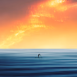  Sea of desires 