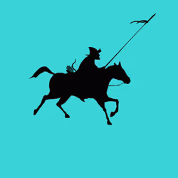 raid