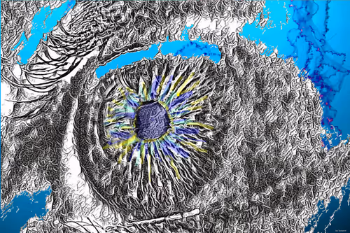 Item #20023781592906440860682440486722008907046268969151224076897509445958474137601 Media