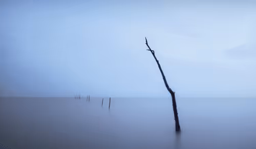 landscape Edition_