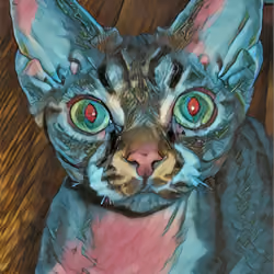 The Bestest Cat 9