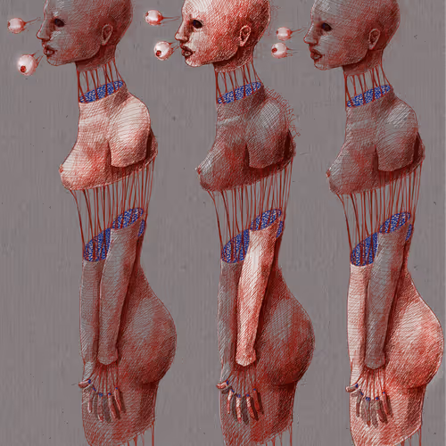 Ha Ning Organs
