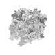 11761108081073924679948466955580817767288722782205669767010058397392297787393