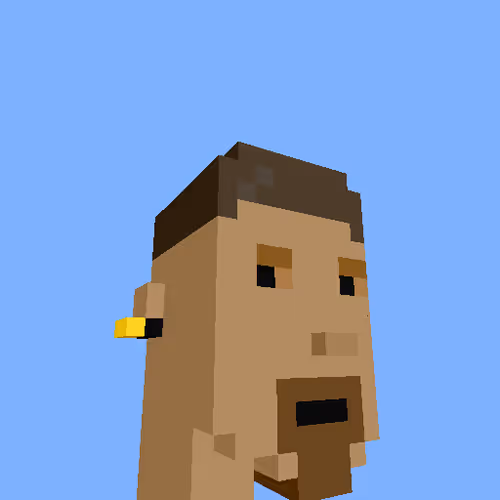 PunkVoxels #3956