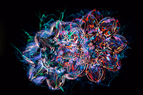 Item #36961558667508468901754344417864317572364831153456800218286957964352496336897 Media