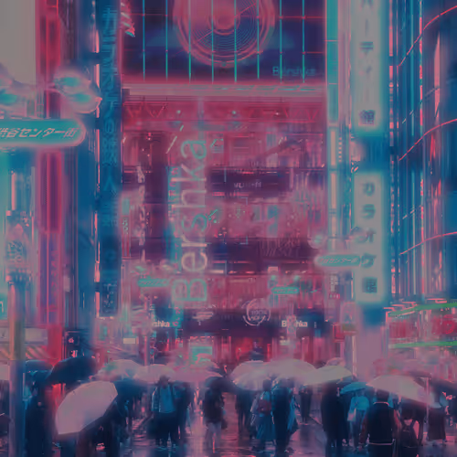 Anocam - Japan Adventures