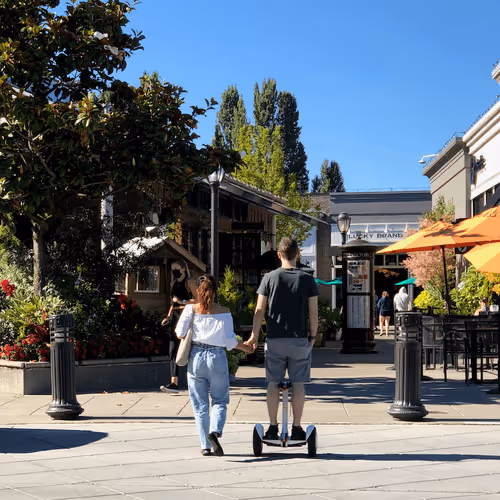 Views from the Sound