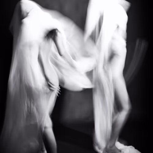 Basiltahanhumanspirits