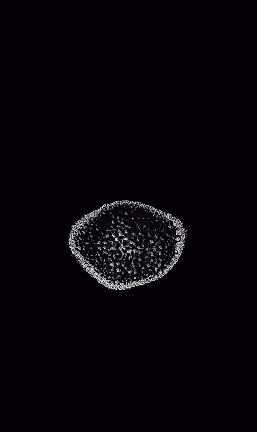 Item #114152585587365639542282687567092385603246280633063275104284011060015667347457 Media