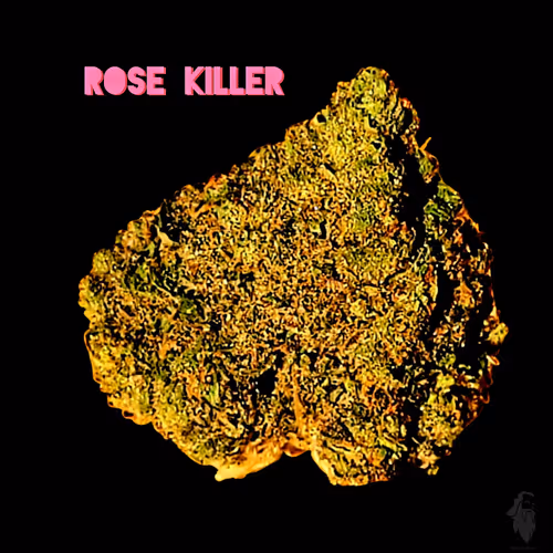 Item #87689570283297516471900235800511228078692535605346005540316604146621823844353 Media