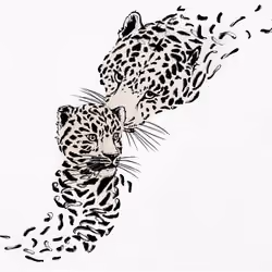 Memories of Amur Leapord