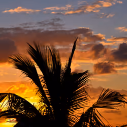 Bermuda Sunrise
