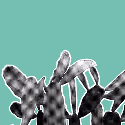 25379124807980713745219244606437574046087384809022650852355167119217493278721