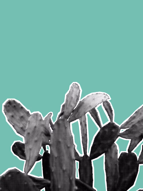 Item #25379124807980713745219244606437574046087384809022650852355167119217493278721 Media