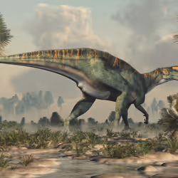 15201862250514145958676777466825728141953005429687029988591517106281193144321