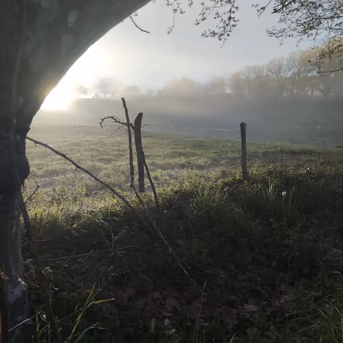 Sebastien77 Collection