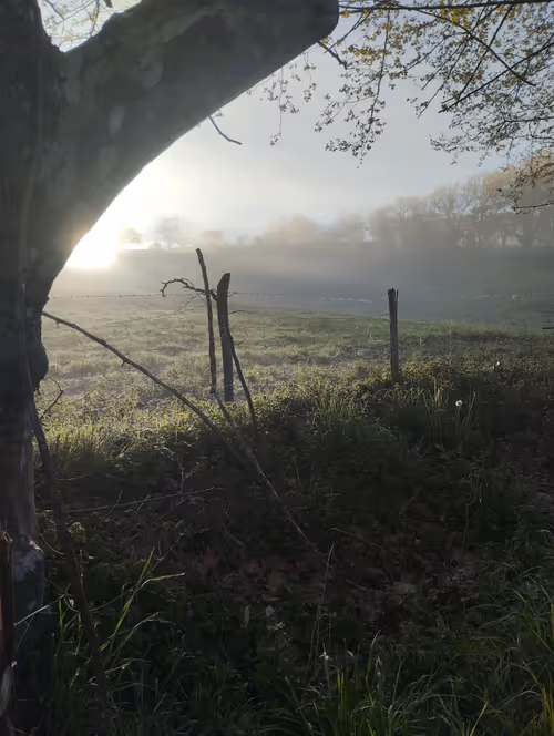 Item #64216842131992229797259626202316487789651441699204401024827468246047218728961 Media