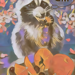 GM Raccoon 