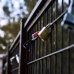 Locks of Love
