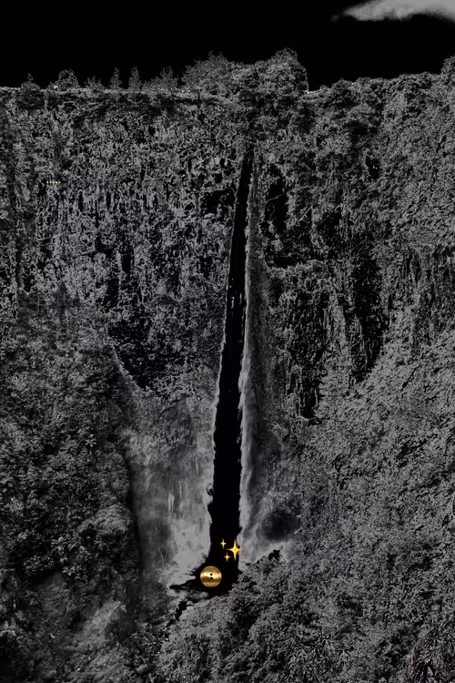 Item #24687316656696377776097421634419303243966632961462953667564156924734289739777 Media