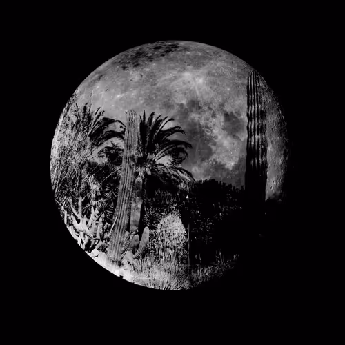 Item #82291620555978562542312322718574203247694604495549589156920071508972399493121 Media