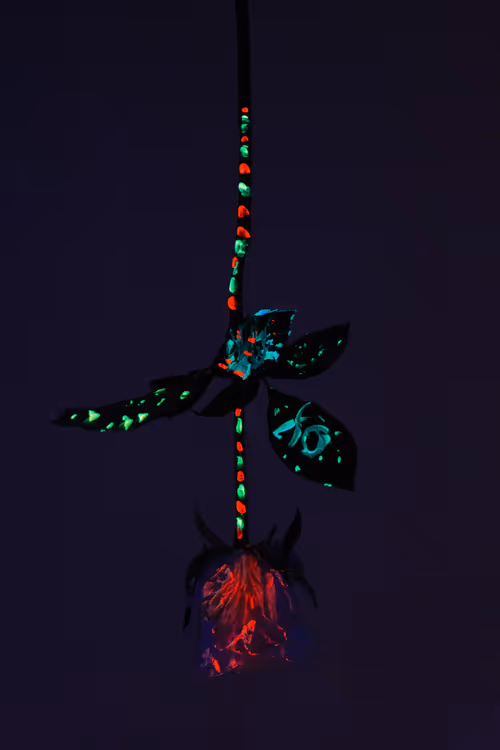 Item #6543125285758794139519418366552479585360659536622126303737985347633243226113 Media