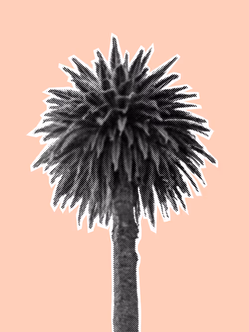 Item #25379124807980713745219244606437574046087384809022650852355167115918958395393 Media