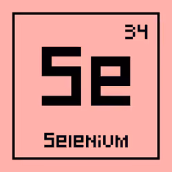 #034 Selenium