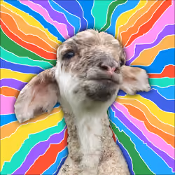 Mahi Toi - Psychedelic Sheep - Flamboyant
