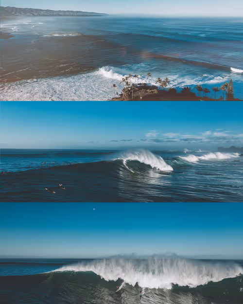 Item #78064220502355505726869985793984720926867023015257308531581829148306854379521 Media