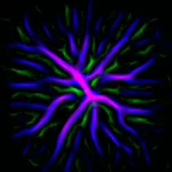 51929734946411346289540790635765095060363125039145709683616697062799217524737