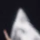 12740893369987754705938581489340823896080149266844216832296275047977790210058