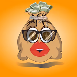 Money Bag #170