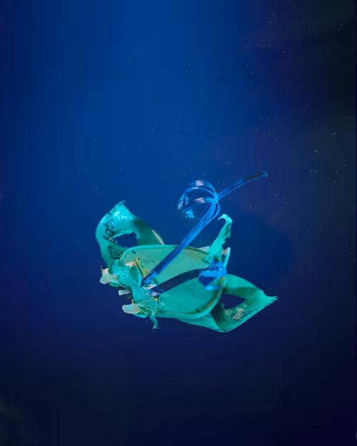 Item #109516060790128716410476023957010007194992899360469946350860993271013197217793 Media