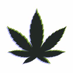 EtherMarijuana 11