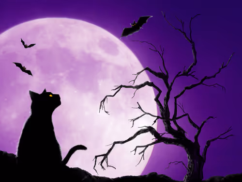 Item #49543221765173905469086434254543082575420429147691128671322516031771328380929 Media