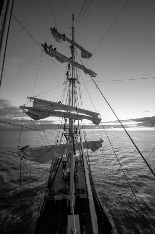 Item #34110083671509346653453586160941404072216291014688644284046702131696954769409 Media