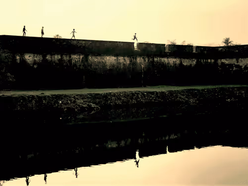 Little Flowers on the Collapsed Wall