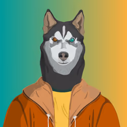 Husky Dog