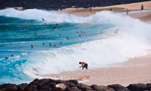 Item #92971587401879212914465603849674525645265351012255145539777938579516418949121 Media