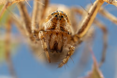 Item #11893448461842202167923125391346137616384292588036434545660885329747378176001 Media